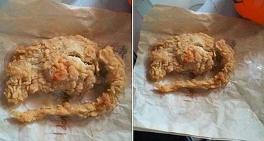 La repugnante «rata-pollo» de KFC que causa estragos en Facebook