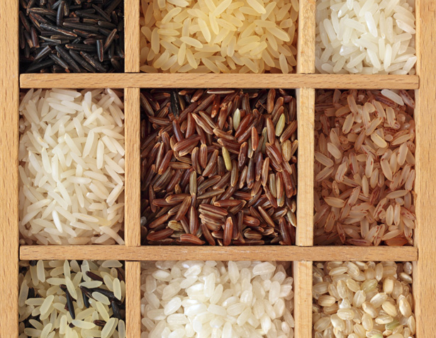 Variedades de arroz