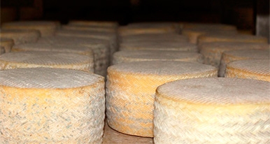 Jueces de todo el mundo premian los quesos Arribes de Salamanca