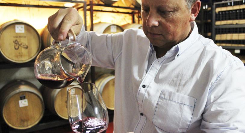 Descubrimos los vinos de la Bodega Julián Madruga