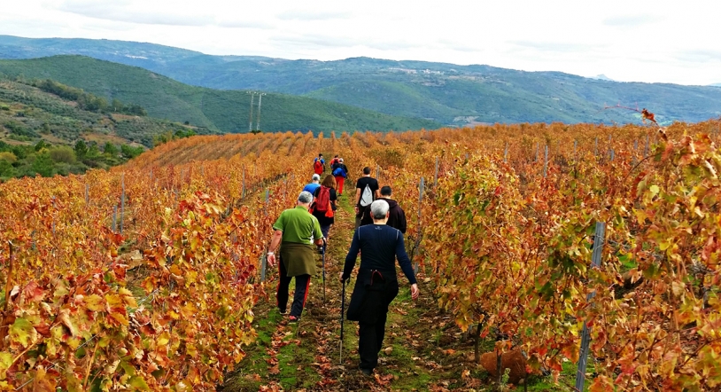 La Ruta del Vino Sierra de Francia se incorpora al Club de Destinos Inteligentes de España