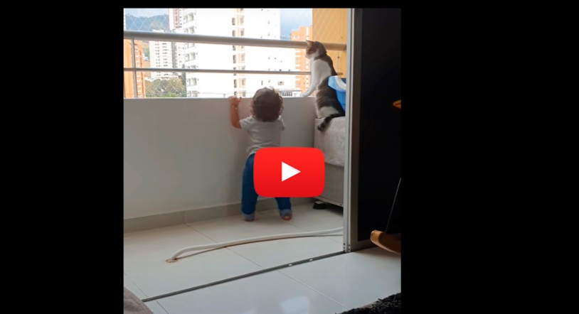 VÍDEO | El gato que protege a un bebé de caer por el balcón: ¡Increíble, pero cierto!