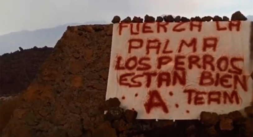 Descubren un cartel donde se vio por última vez a los perros de La Palma: 