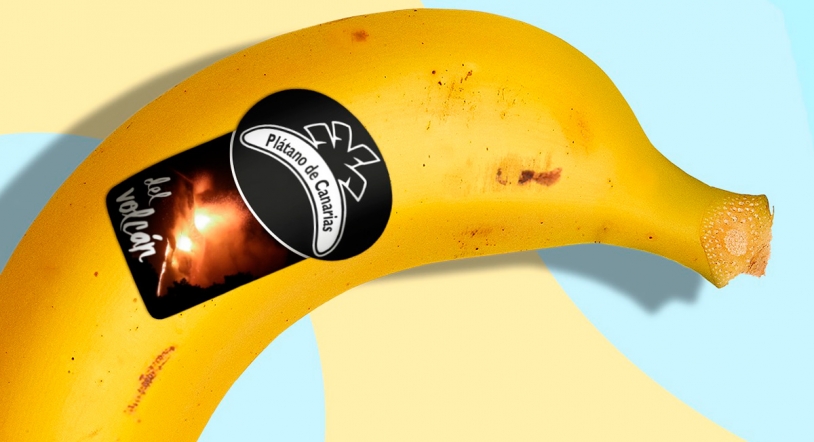 Nueva etiqueta especial de 'Plátano de Canarias del volcán' para los plátanos afectados por la ceniza 
