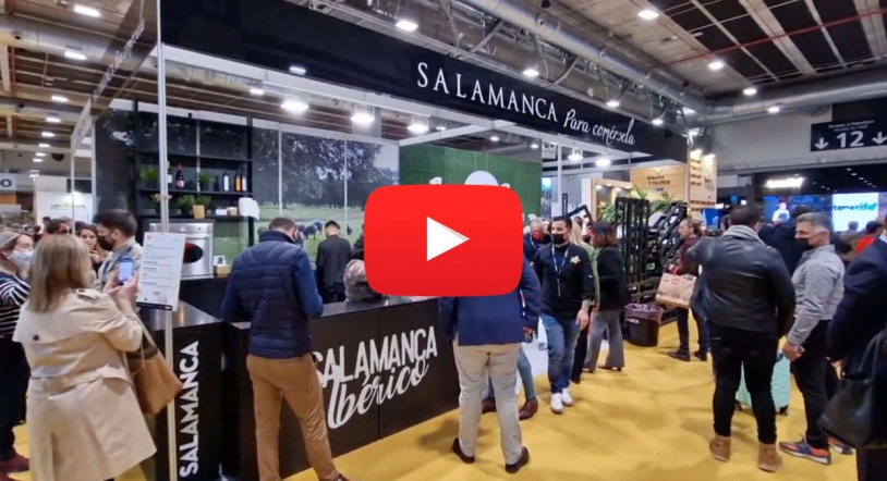 Vídeo | Resumen de la segunda jornada de Salamanca en Madrid Fusión