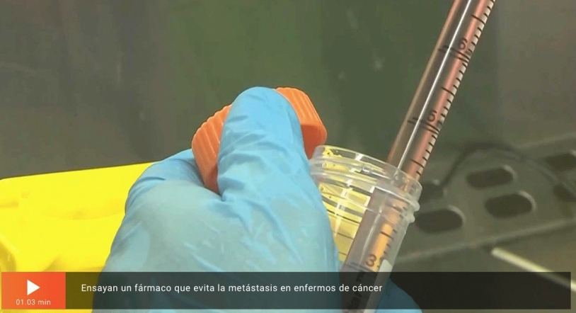 Video | Crean un fármaco con un anticuerpo capaz de frenar la propagación del cáncer