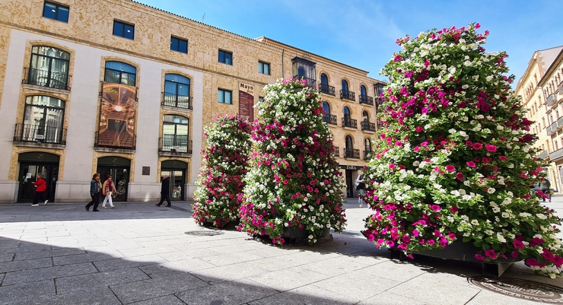 Las flores vuelven a 'inundar' de color y naturaleza el centro de Salamanca