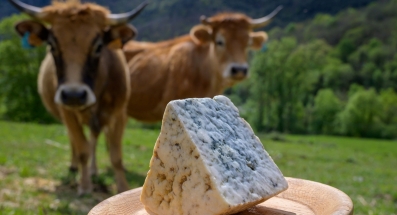 Manchego, Cabrales e Idiazábal, las variedades de quesos nacionales preferidas por los españoles 