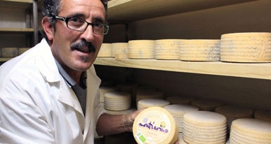 Montiermo, el queso ecológico de Salamanca