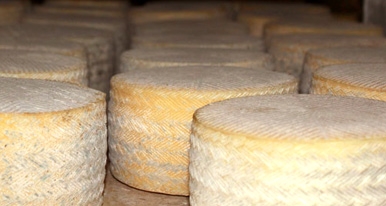 Más pan, aceite de oliva, vino y queso 