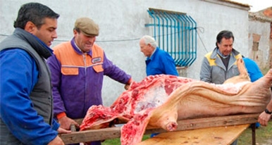 La matanza, una fiesta muy arraigada en la provincia