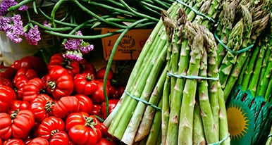 España tira a la basura más de 1.300 millones de kilos de comida