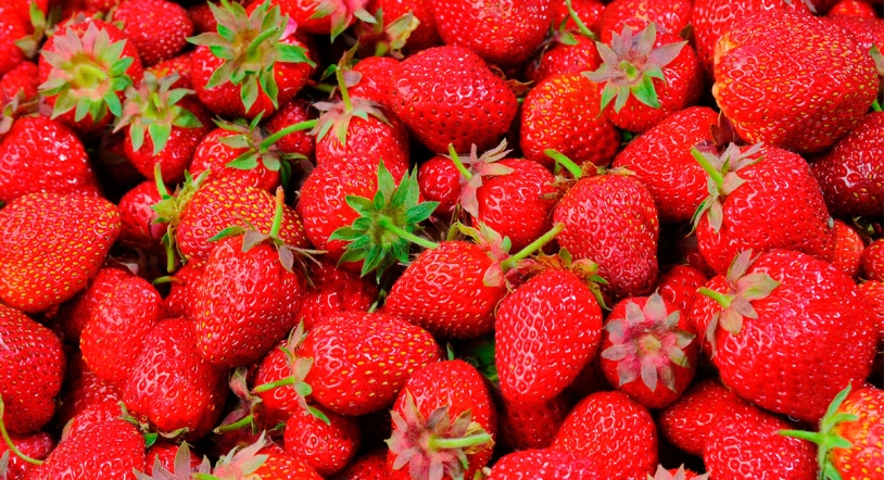 Cinco formas de comer fresas