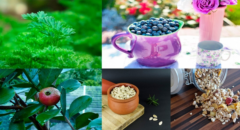 5 alimentos saludables que no estás comiendo