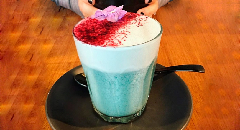 El café azul, nueva revolución vegana 