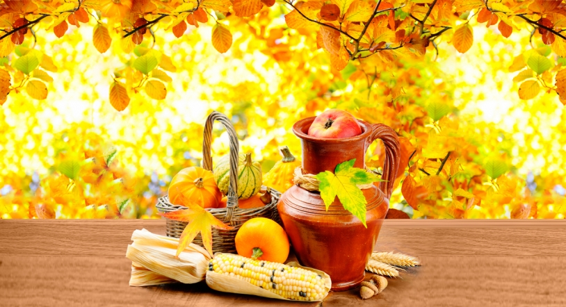 ¡Bienvenido otoño!
