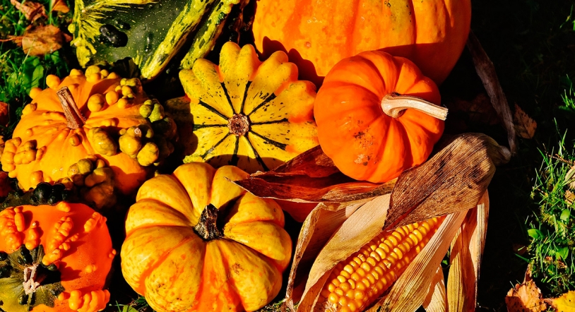 ¡Con calabazas y a lo loco! 