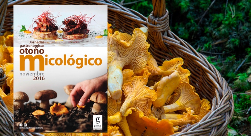 Noviembre, mes micológico en el Mesón de Gonzalo 