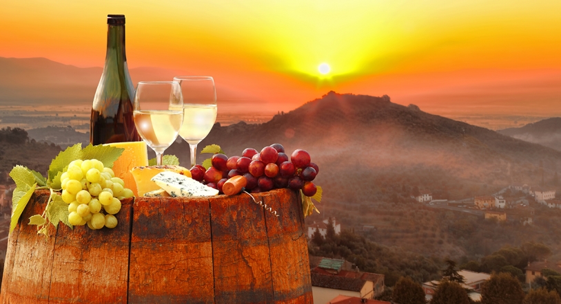  La 22 ª edición del Túnel del Vino acoge la mayor exposición de viñedo de España