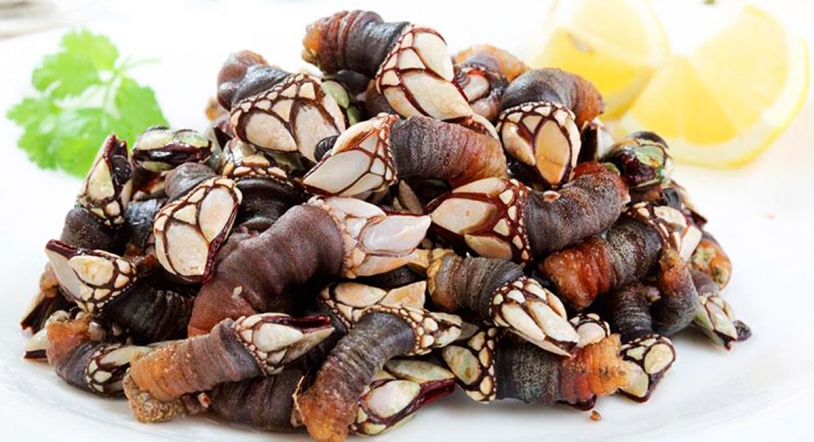 Jornadas Gastronómicas del percebe gigante en el restaurante Pucela 