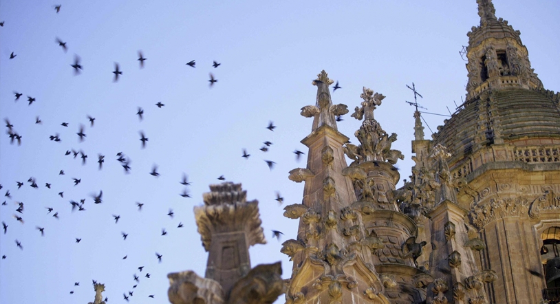 Gastroagenda, multitud de planes estivales en Salamanca 