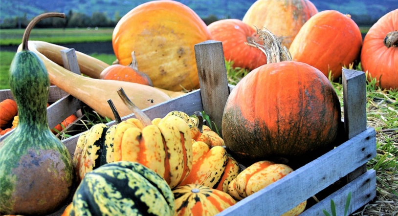 Los mejores alimentos de temporada de enero