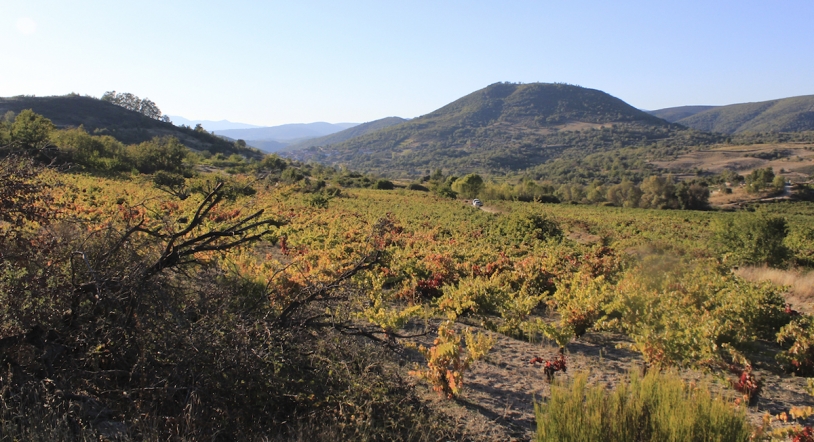 Nuevo Plan de Dinamización de la Ruta del Vino de la Sierra de Francia
