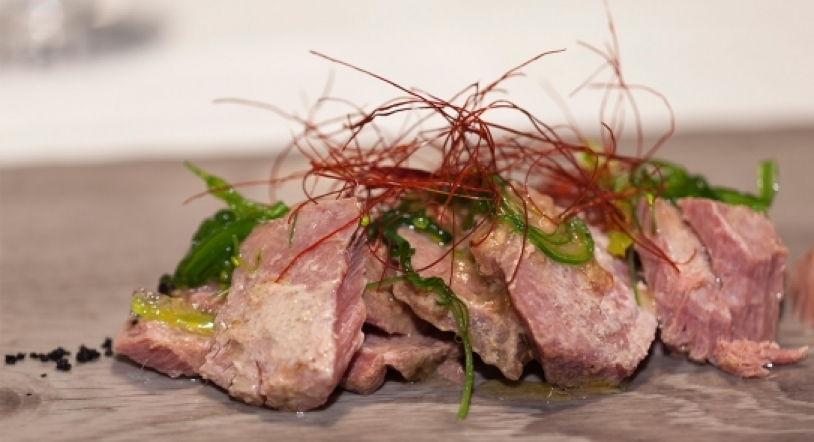 6 recetas con el pescado de temporada: el atún 