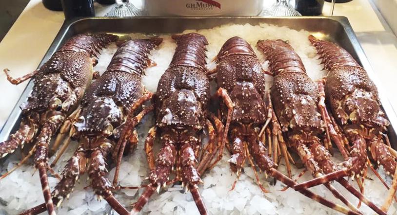 XII Fiesta de la Langosta Real en el Restaurante Pucela