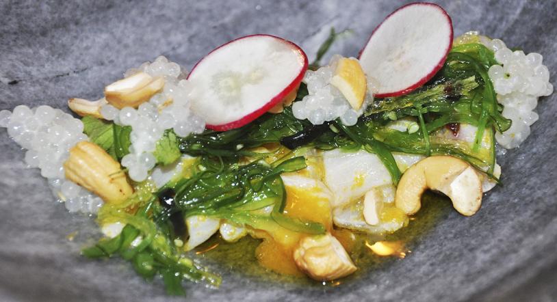 5 Platos para refrescarse en restaurantes de Salamanca