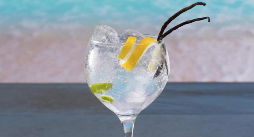 ¿Es el gin tonic una moda pasajera?