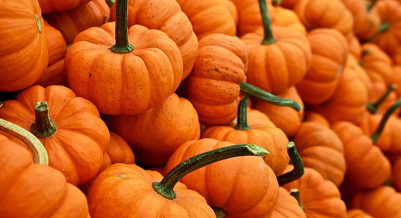 Recetas con verdura de temporada: la calabaza