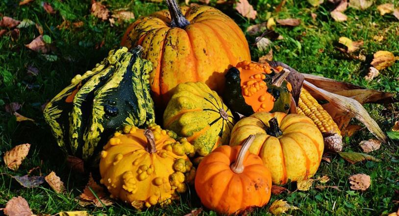 Comidas y dulces típicos de Halloween