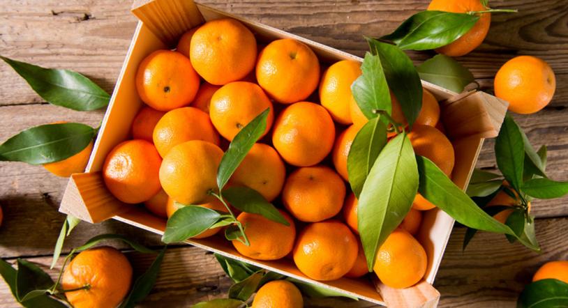 Los mejores alimentos de temporada para noviembre