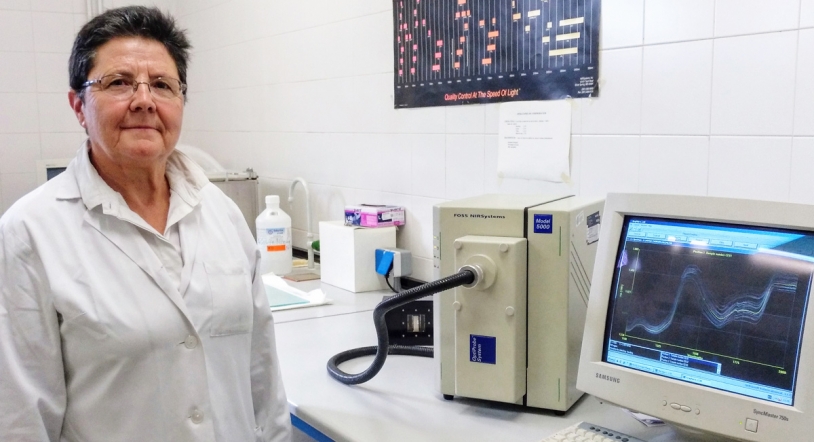 Un estudio mostrará cómo el cerdo ibérico manifiesta lo que ha comido a través de la grasa 