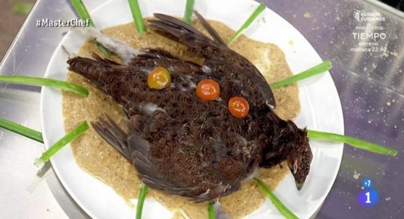 Saray, expulsada directamente de MasterChef 8 por presentar una perdiz muerta con plumas