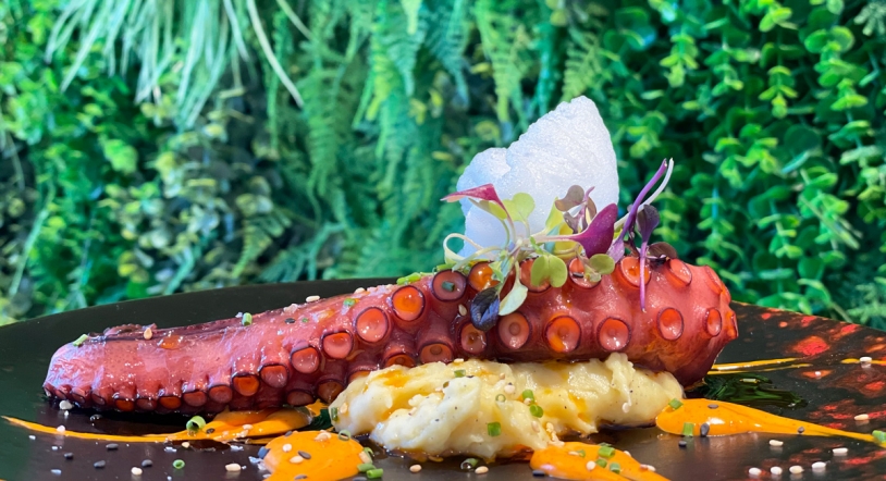 VIRÓ Gastrobar habilita las reservas online para asegurarte una gran experiencia gastronómica 