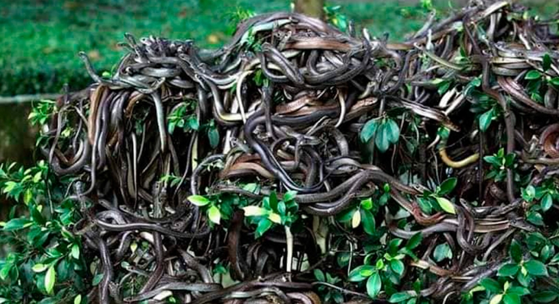 5 lugares prohibidos en el mundo que jamás podrás visitar