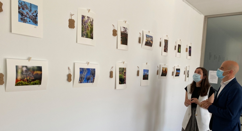 La naturaleza, protagonista de la nueva exposición de Alex Gutiérrez en Santa Marta