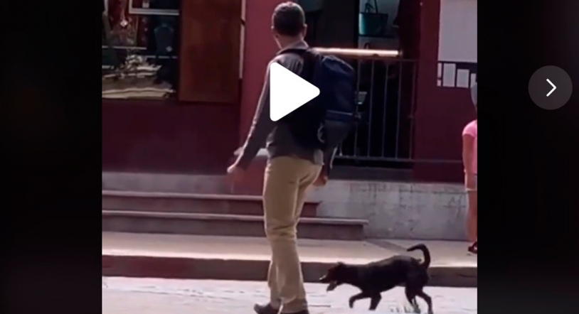 Vídeo viral | El baile del perro y su dueño con más de 11 millones de reproducciones