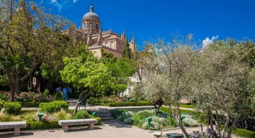'Salamanca dorada, azul y verde' continúa con propuestas en torno al patrimonio, la noche y la naturaleza