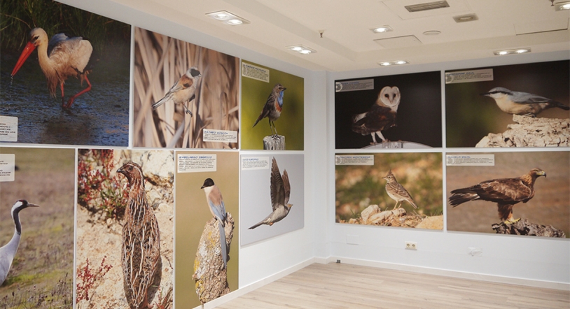 El Tormes inaugura la exposición fotográfica 'Mirando al cielo de Salamanca'