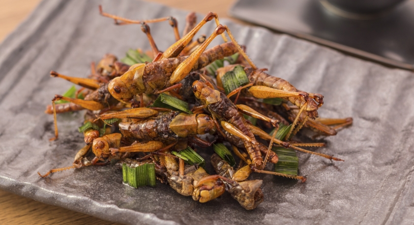 Aumenta la lista de insectos comestibles en el supermercado
