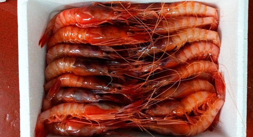 Opciones frescas en el fuera de carta este fin de semana en La Cocina Vieja