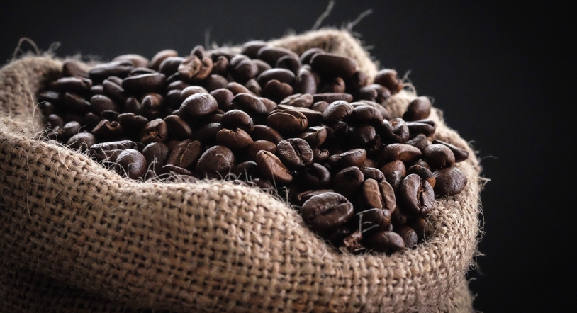 ¿Te gusta el café? Descubre 7 procedencias del café de especialidad 