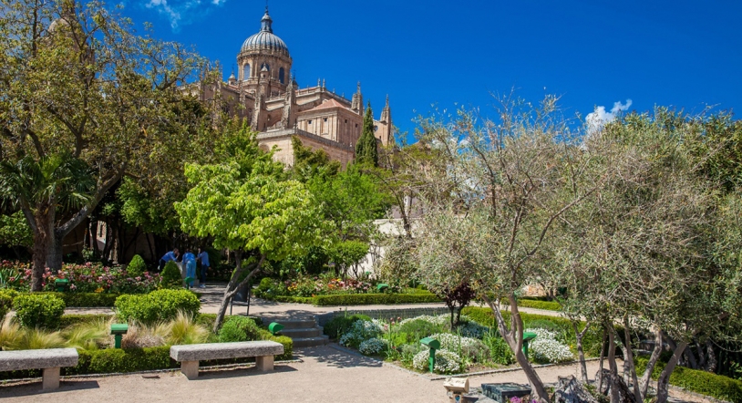 Continúan las propuestas en torno al patrimonio, la noche y la naturaleza en Salamanca