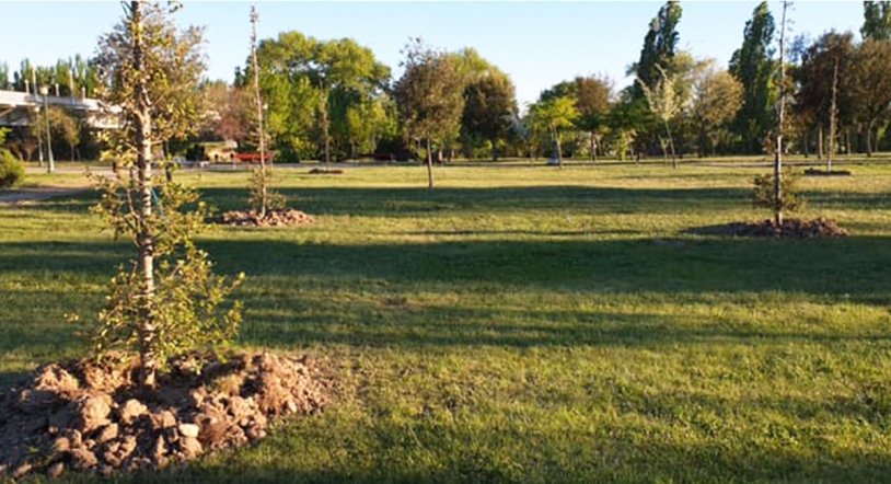 Nuevas visitas guiadas al Parque Botánico de Huerta Otea y a su Aula de las Energías