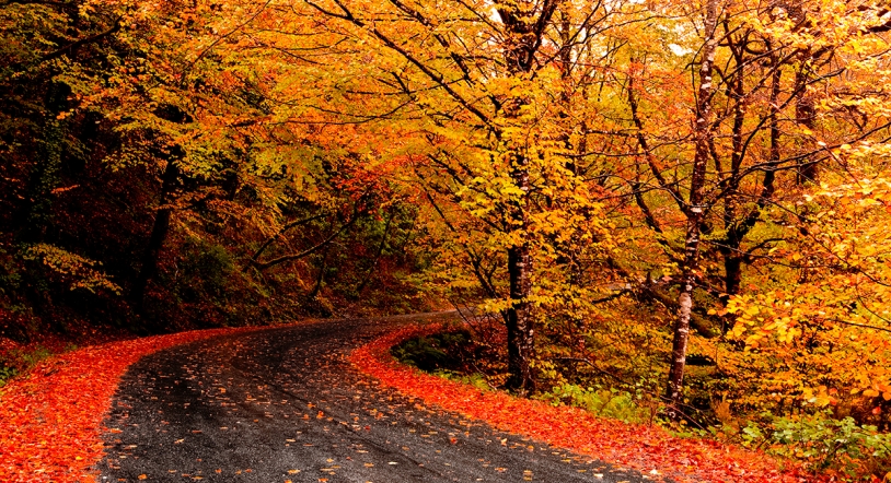 Cálido y lluvioso así será el otoño que comienza este sábado 23 de septiembre