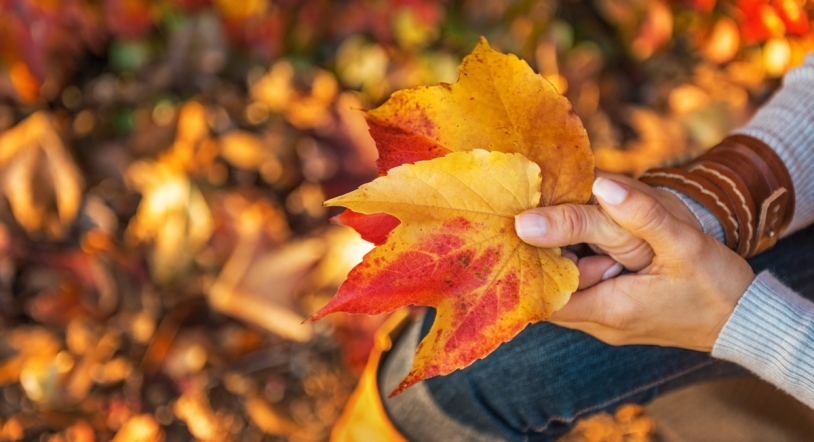Gastroagenda: los mejores planes para este fin de semana que da la bienvenida a octubre