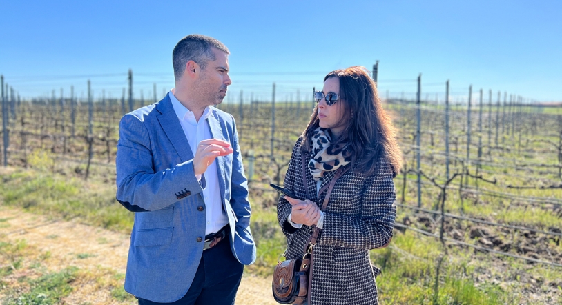 Vinos Finca Arauzo: la excelencia desde el viñedo